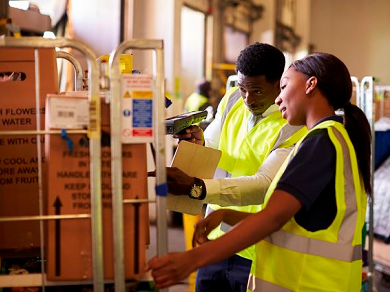 Logistics workers handling goods